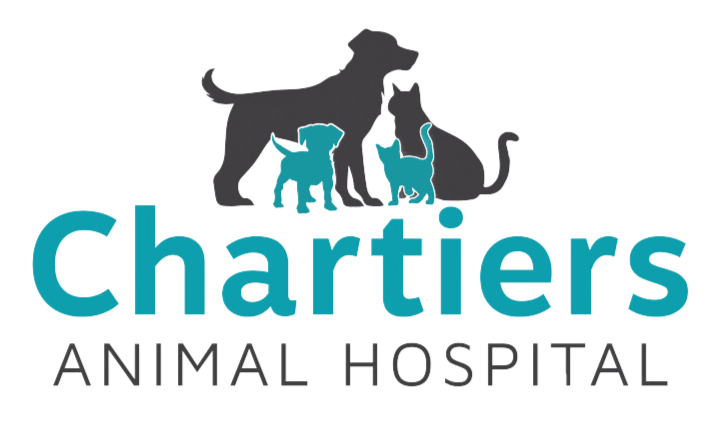 Chartiers Animal Hospital Logo